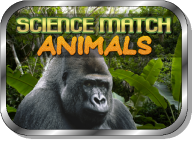 Science Match: Animals